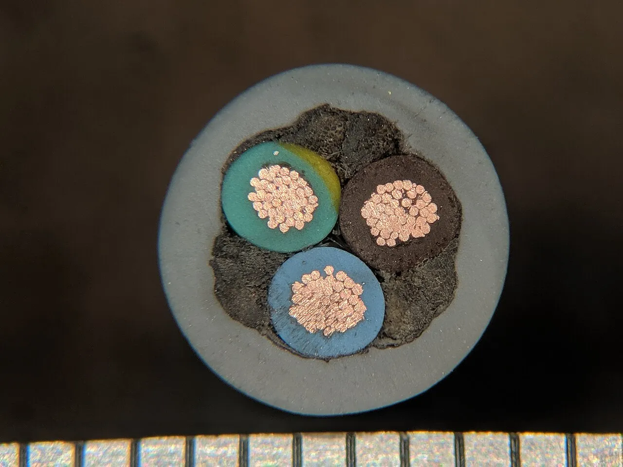 Sezione di un cavo tondo con guaina grigia: dentro tre conduttori fatti di tanti fili di rame, ciascuno avvolto da un isolante colorato, giallo-verde, marrone e blu, con un riempitivo scuro tra loro e un righello millimetrato in basso.